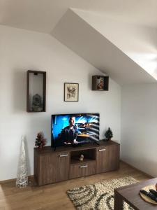 TV a/nebo společenská místnost v ubytování Apartman Dunja