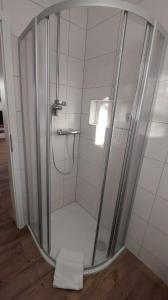 y baño con ducha y puerta de cristal. en Stilvolle Wohnung in Elbnähe mit Balkon, Parkplatz, en Dresden