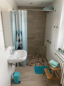 a bathroom with a sink and a shower at Ferienhaus L45 in Elsterheide +25 photos