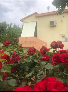 een doos bovenop rode rozen bij Ginepro family in Valledoria