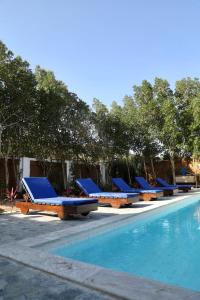 - une rangée de chaises longues à côté de la piscine dans l'établissement AMERICAN VILLA DAHAB, à Dahab