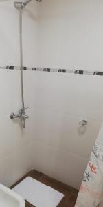 een badkamer met een douche, een toilet en een wastafel bij Pardelas patagonia in Puerto Madryn