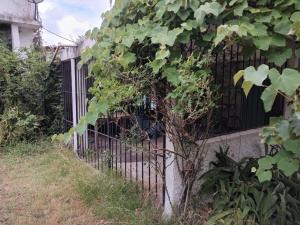 una recinzione di ferro accanto a un edificio di Morgana a Cuchilla Alta