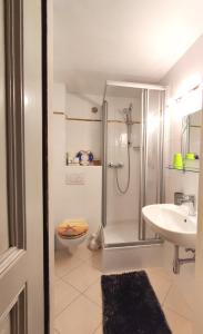 ein Bad mit einer Dusche, einem WC und einem Waschbecken in der Unterkunft Villa Petterhof in Schottwien