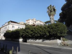 ローマにあるImpero Vaticano San Pietroの椰子の木のある道路脇の建物
