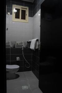 艾卜哈的住宿－Fans Hotel Suites，一间带卫生间和窗户的浴室