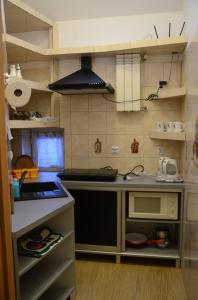 una pequeña cocina con fregadero y microondas en Willa pod Zbójem Pipikasem, en Szczawnica