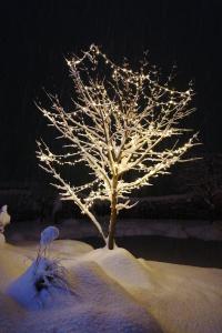 Un árbol con luces en la nieve en Garden Paradise Bled Apartments - garden, pond and castle view en Bled