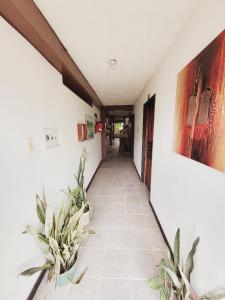 萊蒂西亞的住宿－Divino Niño Hotel，墙上有两株盆栽植物的走廊