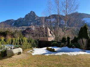 Appartment Nocksteinblick في Guggenthal: حديقة فيها ثلج على الأرض مع جبل