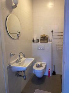 uma casa de banho com um lavatório, um WC e um espelho. em Bed and Breakfast Stinzenflora em Cornjum