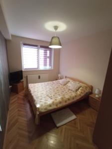 een slaapkamer met een bed in een kamer met een raam bij Apartman STANKOVIĆ in Veliko Gradište