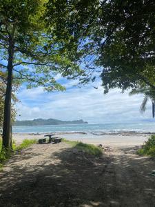 a dirt road leading to a beach with a bench at Queen house in Nosara