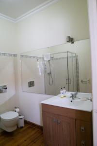 y baño con aseo, lavabo y ducha. en Casa Mindela Farmhouse, en Vila do Conde