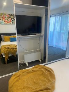 a bedroom with a mirror and a bed and a tv at Ange's BnB - Self Contained Unit with Ensuite in Lyndhurst