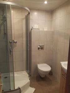 La salle de bains est pourvue d'une douche, de toilettes et d'un lavabo. dans l'établissement Apartamenty Za Winklem, à Cracovie