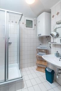 een badkamer met een douche en een wastafel bij Service Apartment direkt neben Hauptbahnhof Graz in Graz