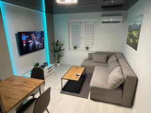 Televízia a/alebo spoločenská miestnosť v ubytovaní Apartament Nadbrzezna