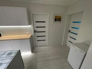 Kuchyňa alebo kuchynka v ubytovaní Apartament Nadbrzezna + 8 fotografií