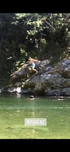 a person jumping off a rock into a body of water at Off the Beaten Track B&B in Canvastown