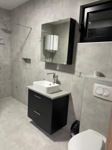 a bathroom with a sink and a toilet and a mirror at Villa D&M in Krupanj +15 photos