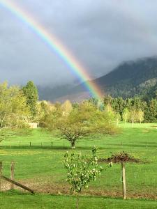 a rainbow in the middle of a field with a tree at Off the Beaten Track B&B in Canvastown