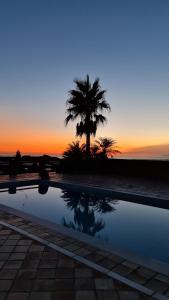 una palma seduta accanto a una piscina al tramonto di LOS CORRALILLOS a Motril