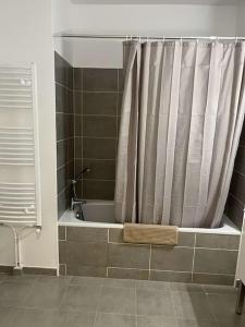 a bath tub with a shower curtain in a bathroom at Chez David in Villejuif
