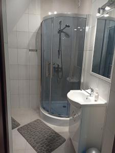 a bathroom with a shower and a sink at PRZY POTOKU -noclegi in Białka Tatrzanska