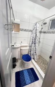 a bathroom with a toilet and a sink and a shower at Sea-Renity in Oyster Pond