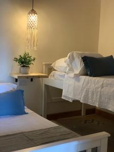 a room with two beds and a table with a potted plant at Complejo Los Olivos in Cafayate