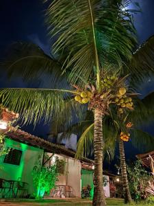 Una palmera con un racimo de plátanos. en Pousada Gostoso Village, en São Miguel do Gostoso
