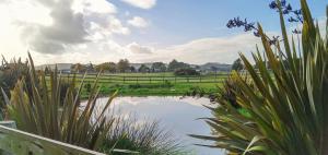 a pond in a field with a fence and some plants at Last Light Lodge in Tuatapere