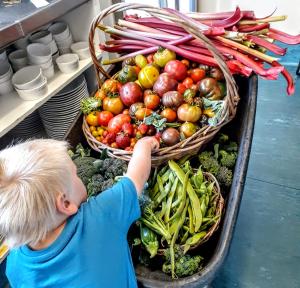 a young boy looking at a display of vegetables at Last Light Lodge in Tuatapere