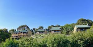 eine Reihe von Häusern auf einem Hügel mit Bäumen in der Unterkunft Daysy Hill Country Cottages in Port Campbell