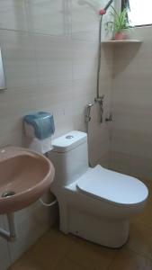 a bathroom with a toilet and a sink at Ng Family’s Farm Stay in Cameron Highlands