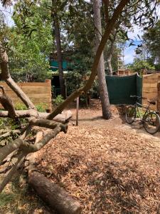 een fiets geparkeerd naast een hek en bomen bij Cabaña Iris in La Paloma