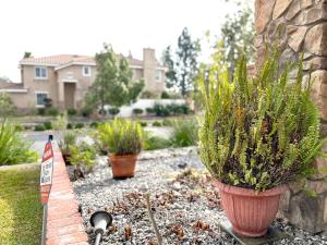 a garden with potted plants and a house at Homeinn - Luxe Residence Near Victoria Mall & Mills in Rancho Cucamonga