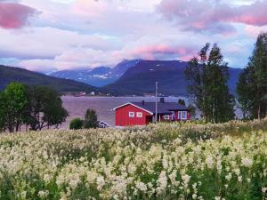 Billede fra billedgalleriet på 7 person holiday home in Rossfjordstraumen i Straumen