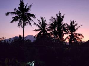 eine Gruppe von Palmen vor einem Sonnenuntergang in der Unterkunft Rumah Tara Modern 3 bedroom pool and garden villa in Gili Air in Gili Air