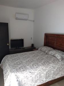 Schlafzimmer mit einem Bett und einem Flachbild-TV in der Unterkunft Casa Alebrijes in Tequila