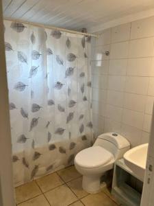 un bagno con un water e una tenda da doccia di Cabaña para 2 en ConCon a Concón