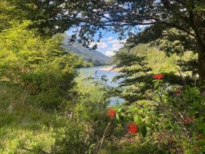 uma vista para um rio com árvores e flores em Refugio Macales em Puerto Dunn