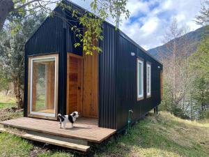 ein schwarzes winziges Haus mit einem Hund, der auf einem Deck steht in der Unterkunft Refugio Macales in Puerto Dunn