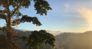 een mistige vallei met een boom op de voorgrond bij Hotel See Kandy in Kandy