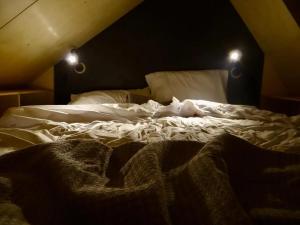 1 cama no hecha en una habitación oscura con 2 luces en Viví la experiencia de hospedarte en una tiny, en La Pedrera