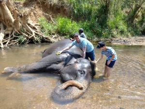 un grupo de personas lavando un elefante en el agua en Dambulla Sun Vsh Holiday, en Dambulla