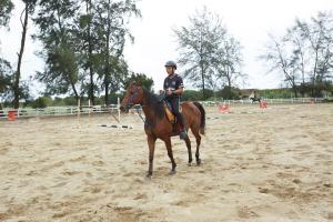 uma pessoa a montar um cavalo na areia em Terengganu Equestrian Resort em Kuala Terengganu