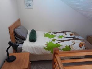 a bedroom with a bed with a tiger pattern on it at Dorset Cottage in Cape Town +5 photos