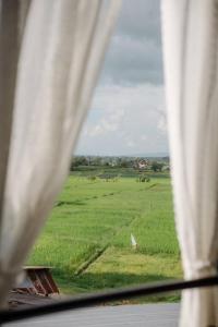 a view of a green field from an airplane window at โรงแรมมีวาสนา - Me Vadsana Hotel 